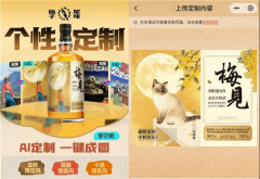 提拔渠道物料运营效